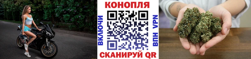 Псилоцибиновые грибы Касли