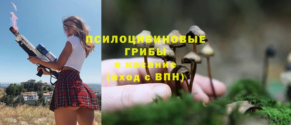 apvp Иннополис
