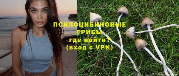 прущая мука Каменка
