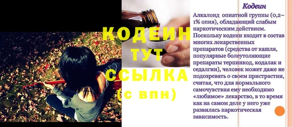 apvp Иннополис