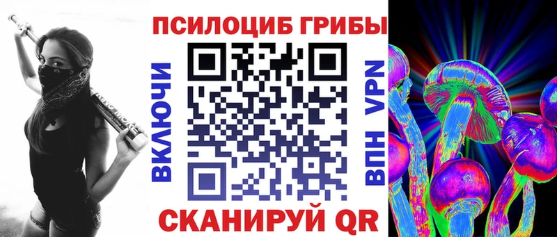 сколько стоит  площадка телеграм  Псилоцибиновые грибы ЛСД  Касли 